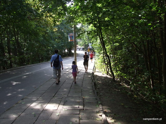 spacer do centrum Krynicy