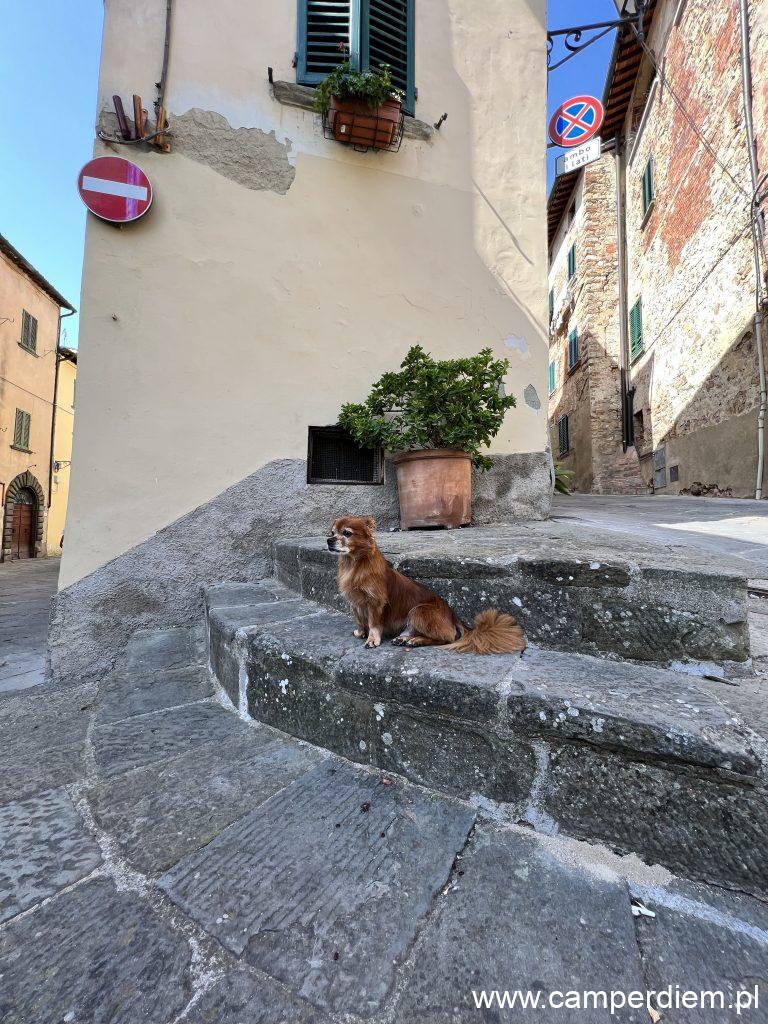 Lucignano