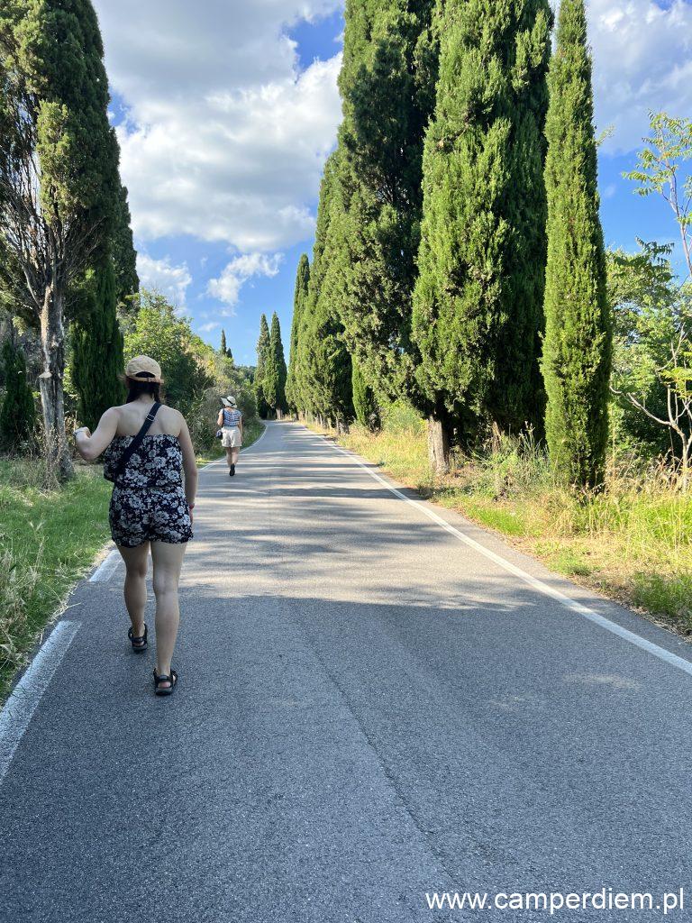 Cortona