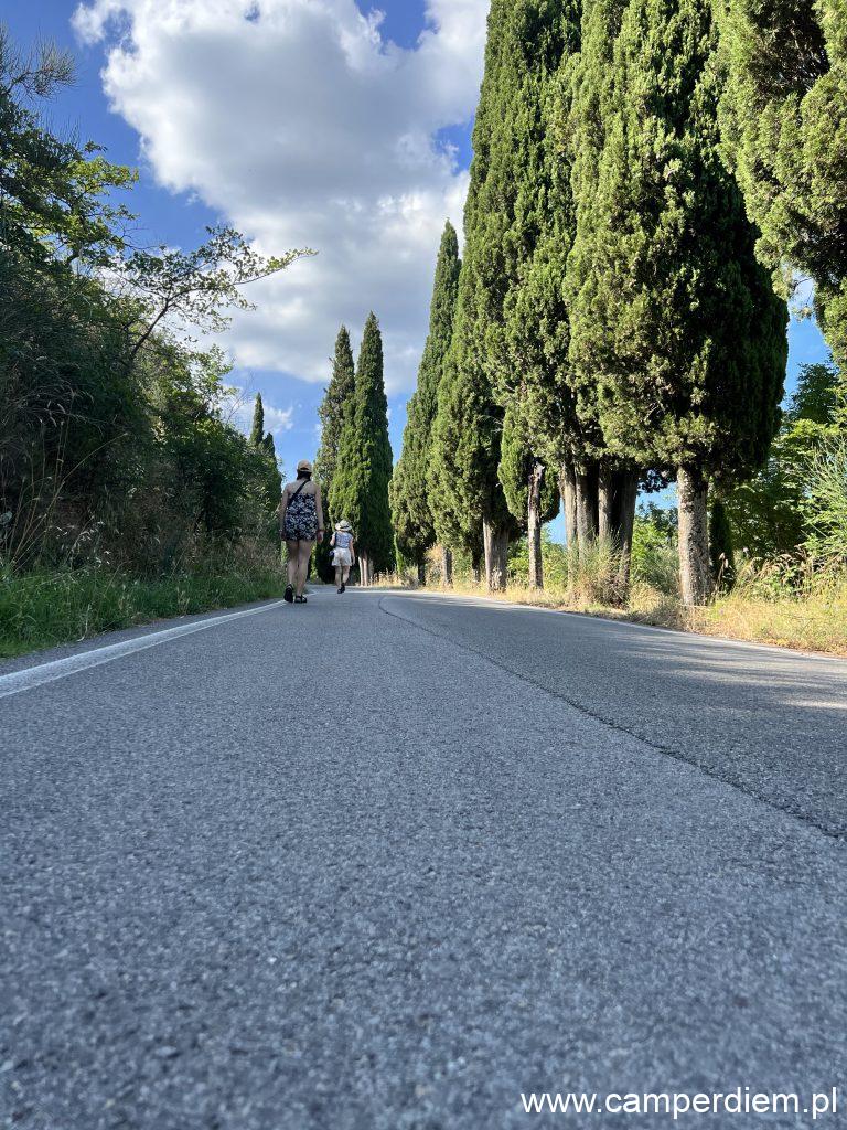 Cortona