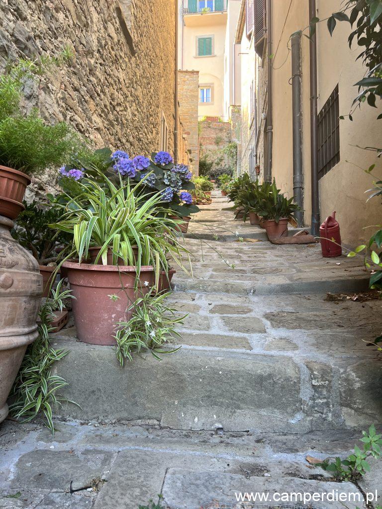 Cortona