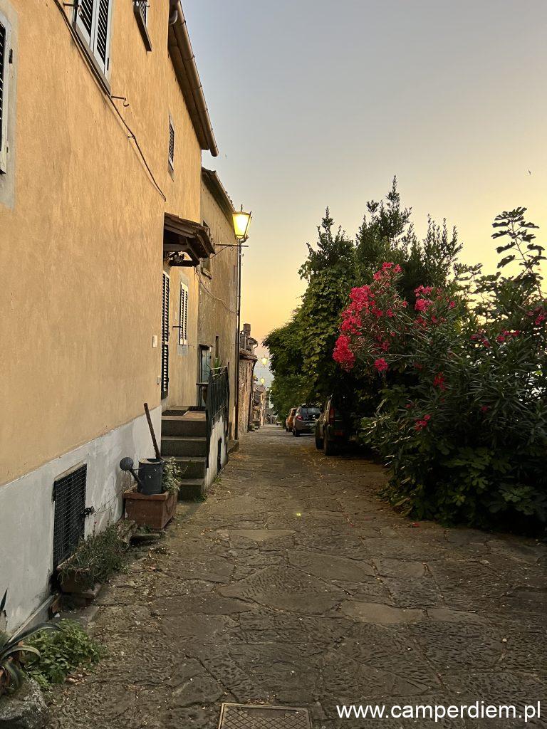 Cortona