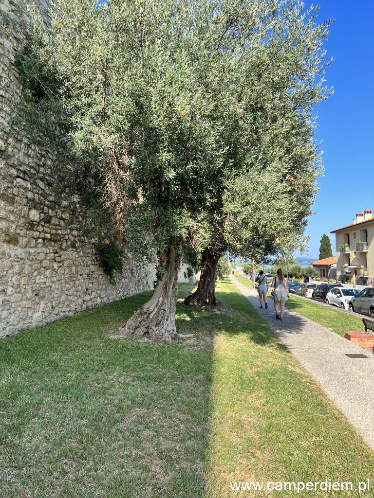 Castiglione del Lago
